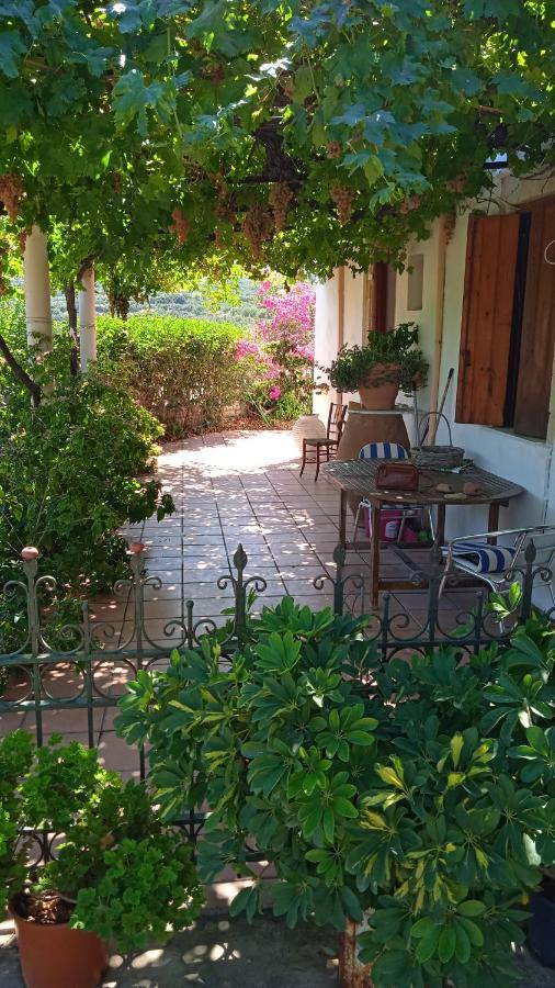 Falasarna Lardas House Gramvousá エクステリア 写真