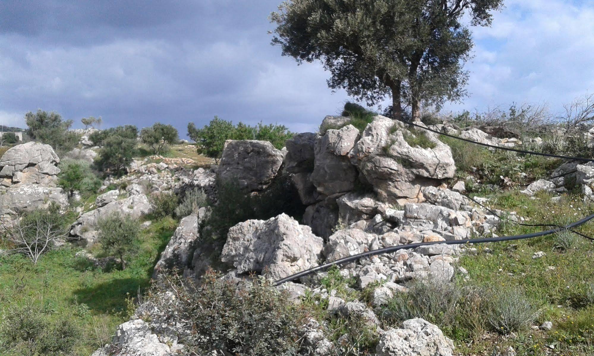 Falasarna Lardas House Gramvousá エクステリア 写真