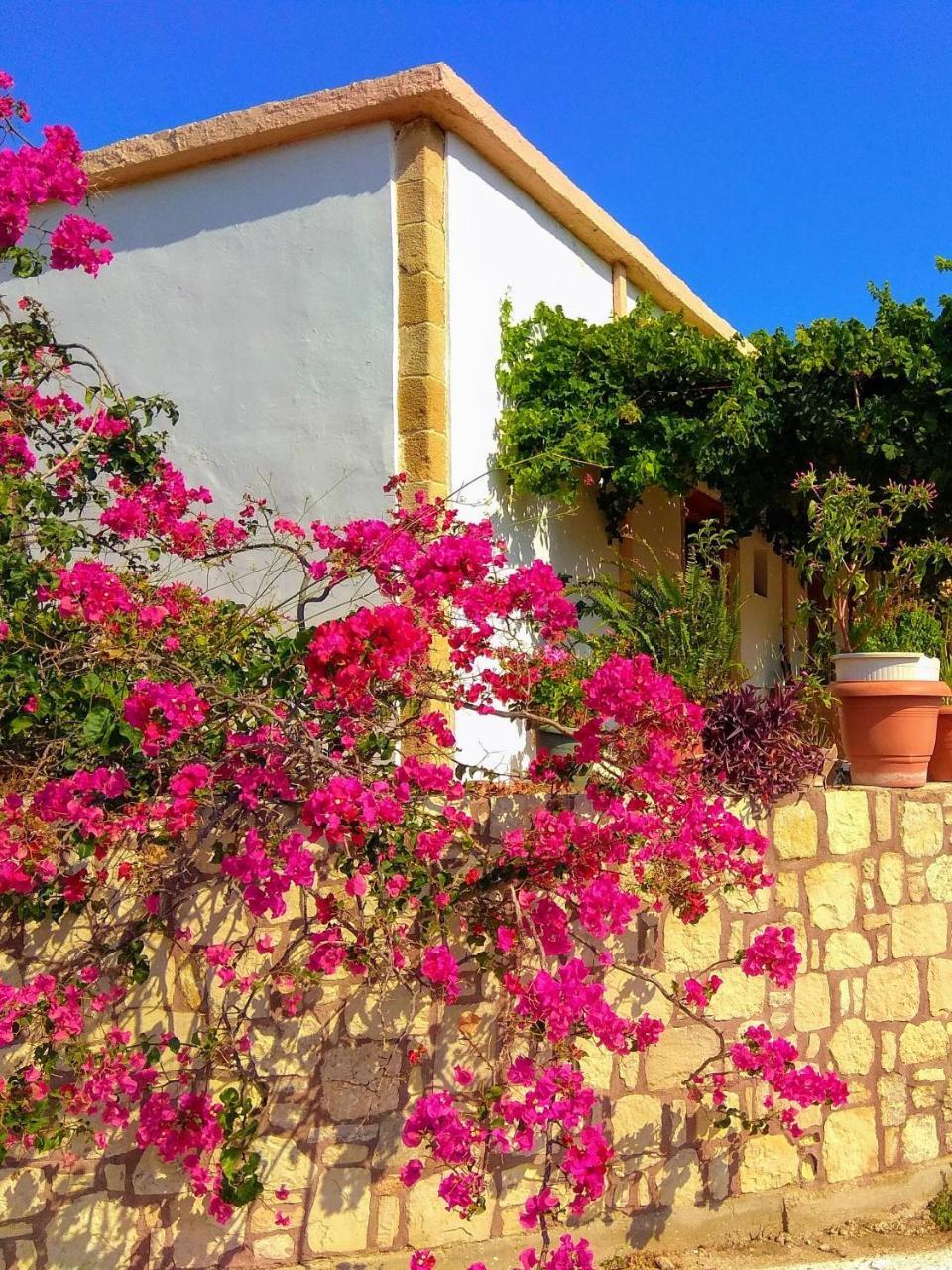 Falasarna Lardas House Gramvousá エクステリア 写真